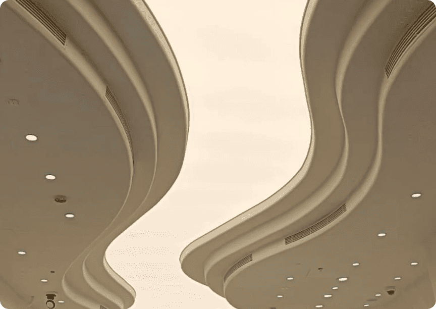 Section Image (4)